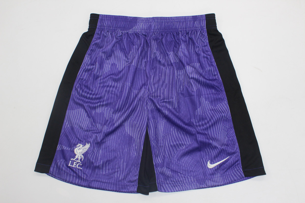 AAA Quality Liverpool 23/24 Third Purple Soccer Shorts